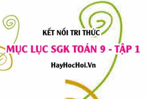 Mục lục SGK Toán 9 tập 1 Kết nối tri thức - Lý thuyết và bài tập Toán 9 tập 1 Kết nối tri thức